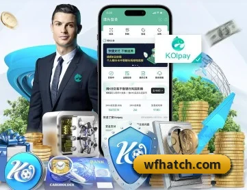 火狐网站入口 APP 深度功能
